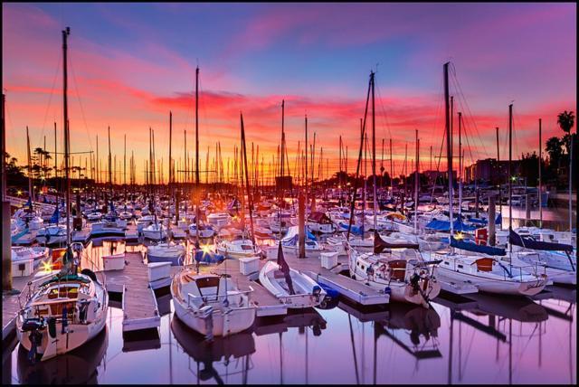 Marina Del Rey'S Grand 2/2 Suite Pool View Los Angeles Bagian luar foto